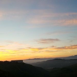 Meet your Posher, Lucy